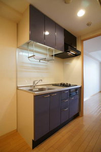 ル・ブラン池上 206号-5