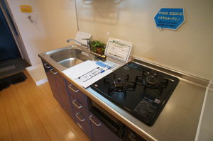 ル・ブラン池上 206号-6