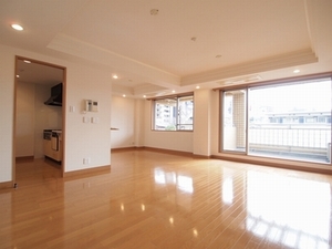 ラフィーヌ中目黒B 301号-2