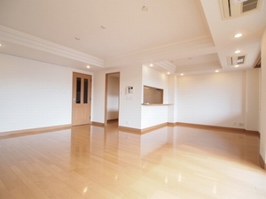 ラフィーヌ中目黒B 301号-3