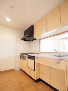 ラフィーヌ中目黒B 301号-5