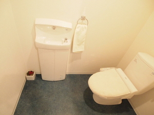 ヌーベルモンテ 301号-9