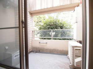 ヌーベルモンテ 301号-11