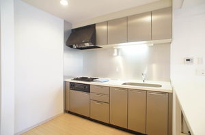 マストライフ月島 402号-8