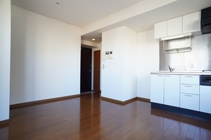 マストライフ目黒南 1008号-2