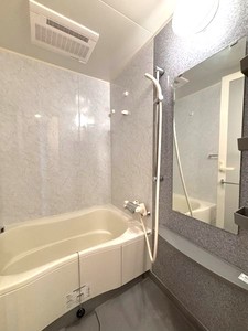 メゾンパサニア 402号-9