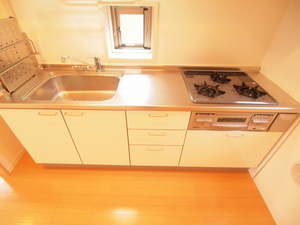 ラ　メゾン　ドゥ　桜新町 205号-5