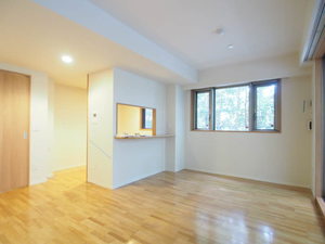 イルリッシュ目白 101号-3