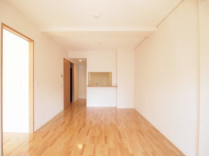 イルリッシュ目白 304号-3