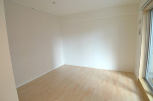 リオフレンテ 411号-3