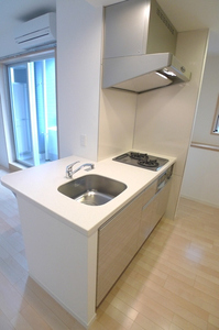 リオフレンテ 411号-4