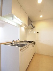 デラ　フェリチタ 102号-6