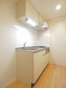 グラティチュード武蔵小杉 408号-5