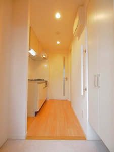 グラティチュード武蔵小杉 408号-9