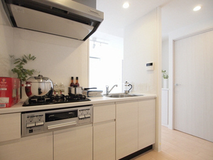 グレ-スメゾン神保町 402号-4