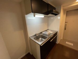 ルームスキノカ 406号-3