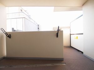 ルームスキノカ 1105号-11