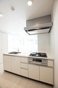 ＳＴレジデンス南品川 309号-4