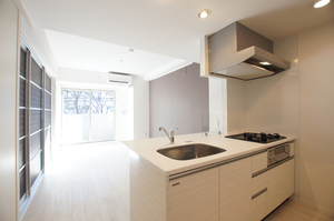 ＳＴレジデンス南品川 309号-5