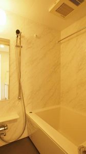 ラミテリア桜新町 404号-9