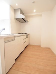 押上スカイビューテラス 309号-6