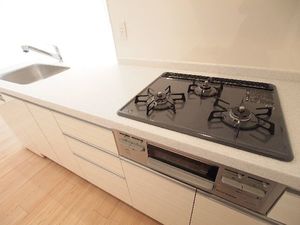 押上スカイビューテラス 309号-7