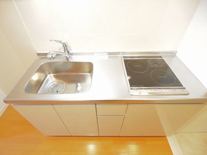 シャーメゾンステージ八広 704号-6