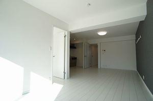 ロイヤルドミニオン 402号-6