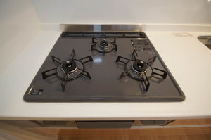 ヴァンフォーレ南荻窪 305号-10