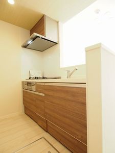 BEREO狛江 203号-6