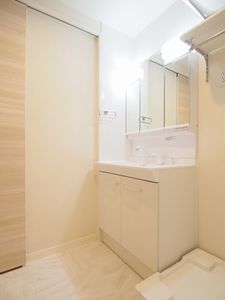 BEREO狛江 207号-9