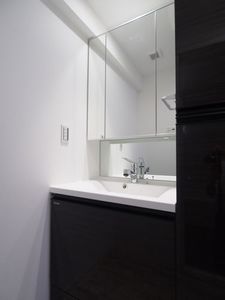 ラ・セレッソ練馬春日町 306号-9