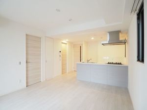 WATOREI 白金 402号-3