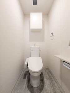 スカイテラス南大塚 309号-10