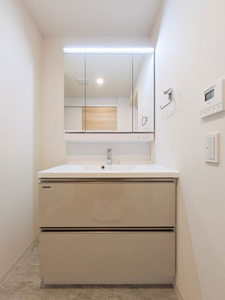 スカイテラス南大塚 310号-7