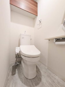 スカイテラス南大塚 701号-9