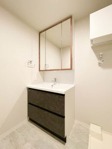 スカイテラス南大塚 1002号-8