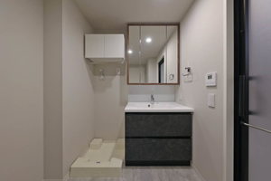 スカイテラス南大塚 1103号-6