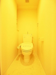 マストライフ西新宿 903号-9