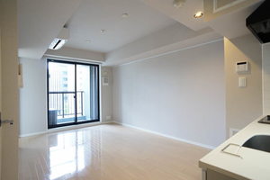 プライムメゾン銀座イースト 306号-2