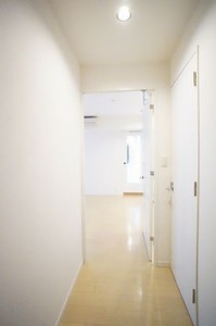 プライムメゾン銀座イースト 309号-11