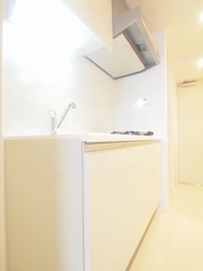 プライムメゾン早稲田 1302号-5