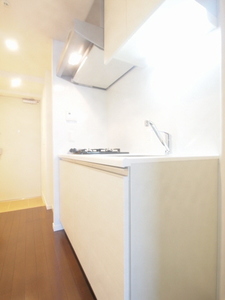 プライムメゾン早稲田 1304号-4