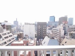 プライムメゾン神保町 901号-11