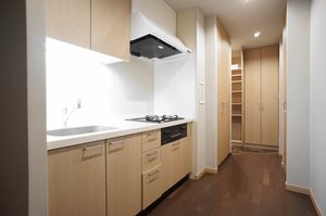 エスティメゾン銀座 201号-4