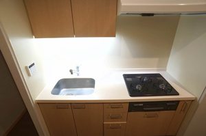 エスティメゾン銀座 201号-5