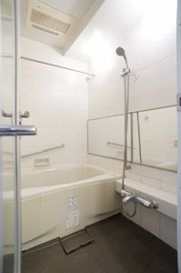 エスティメゾン銀座 501号-10