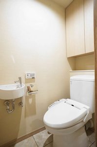 エスティメゾン銀座 501号-11