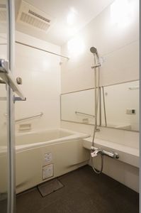 エスティメゾン銀座 507号-11