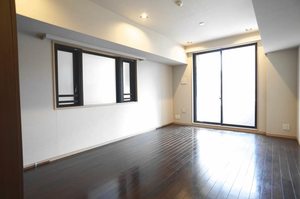 エスティメゾン銀座 701号-3